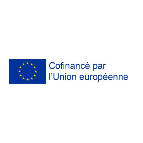 European Union logo